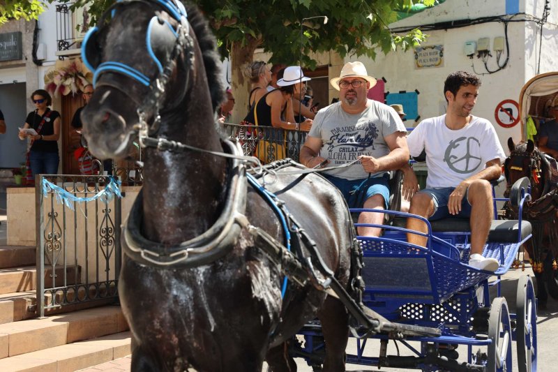 La presentació i l’entrada de la murta aporten l’ambient a l’arranc de les festes de Llíber La presentació i l’entrada de la murta aporten l’ambient a l’arranc de les festes de Llíber